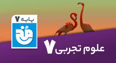 کتاب درسی علوم هفتم سری مخ